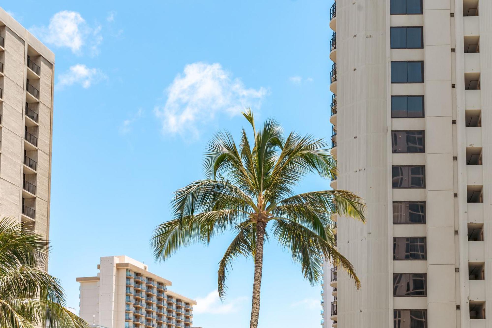 Waikiki Escapade Mountain Views Condo, Steps To Beach With Parking Perk Honolulu Ngoại thất bức ảnh